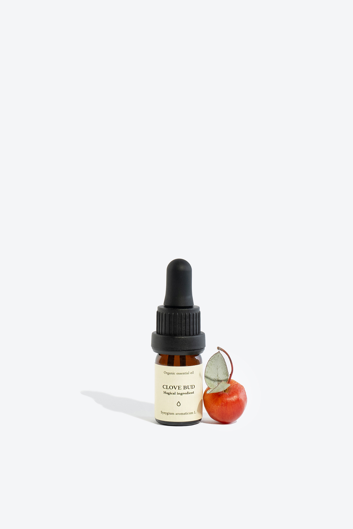 Clove bud essential oil SMELLS LIKE SPELLS Syzygium aromaticum L