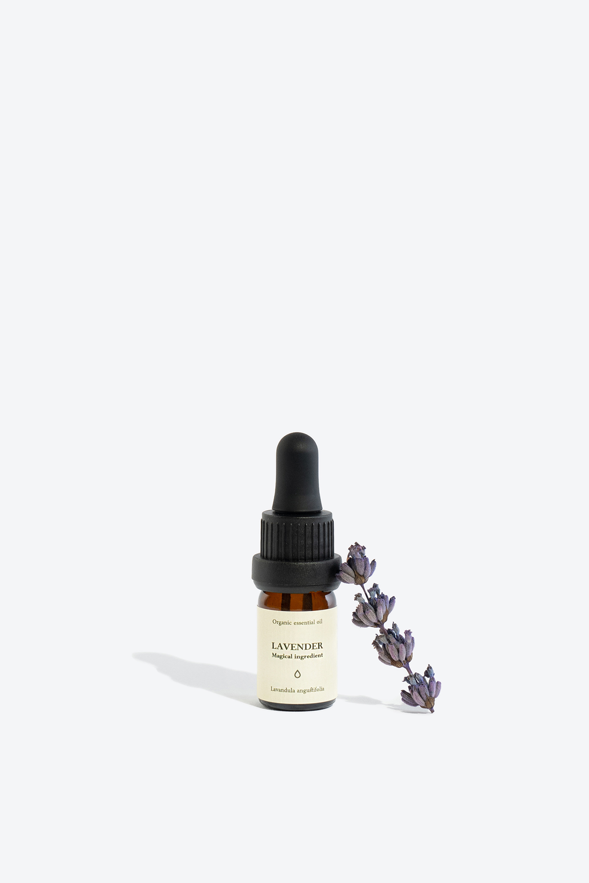 Lavender essential oil SMELLS LIKE SPELLS lavandula angustifolia