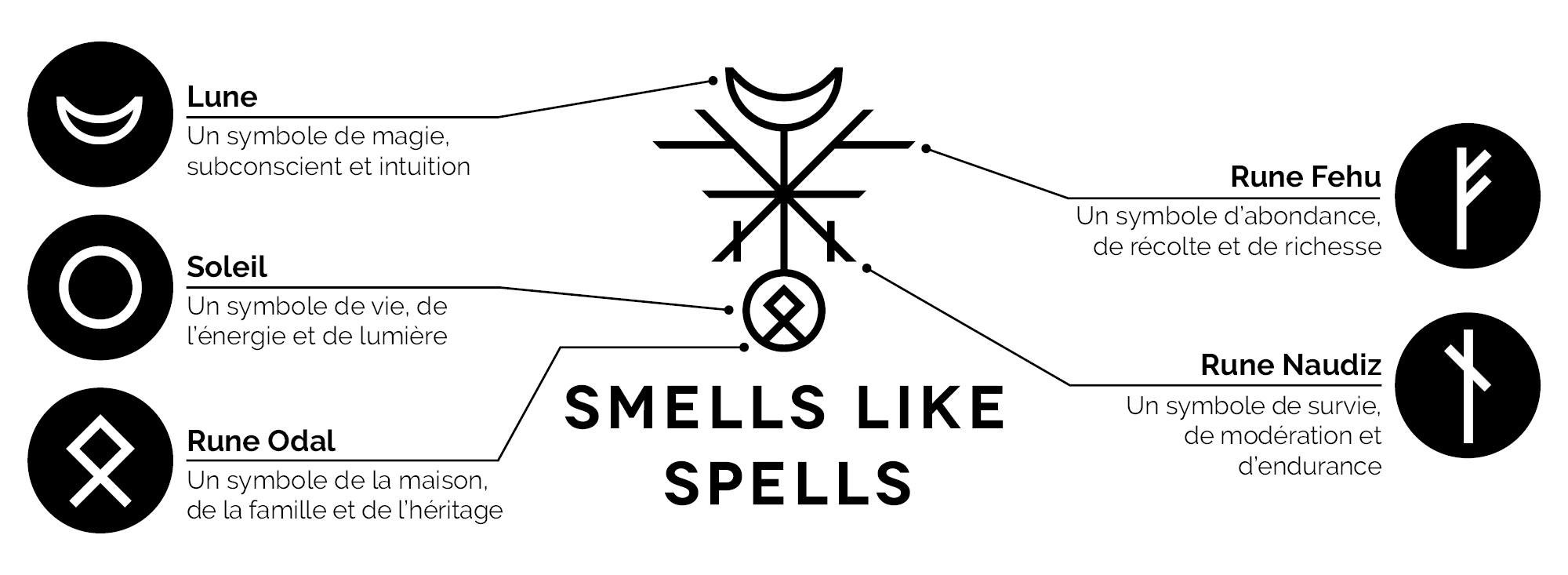 sls_logo_paasikinimas9
